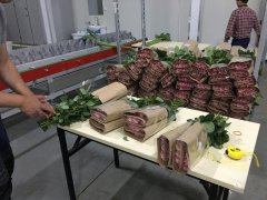 鮮花自動包裝行業現狀