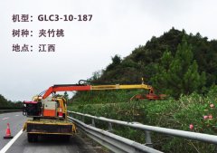 園林苗木整形修剪都有哪些形式